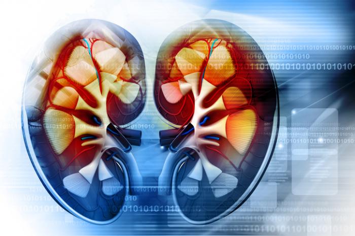 Understanding & managing Chronic Kidney Disease