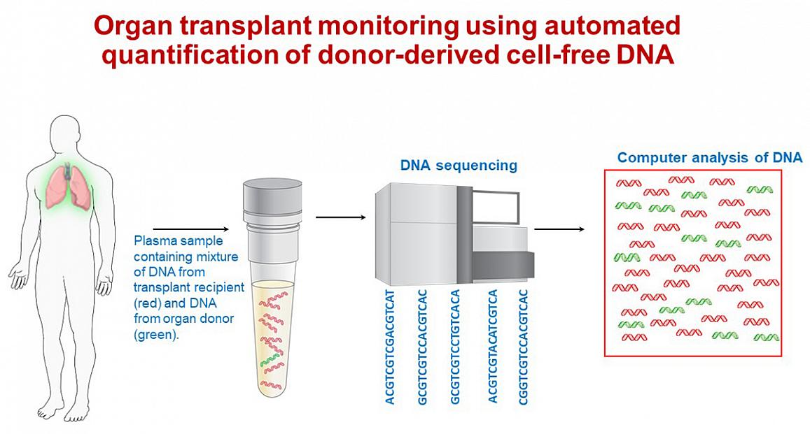 Source: NIH