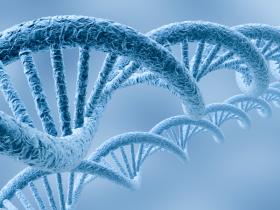 ICMR to consider cases of bio material transfer for commercial purposes