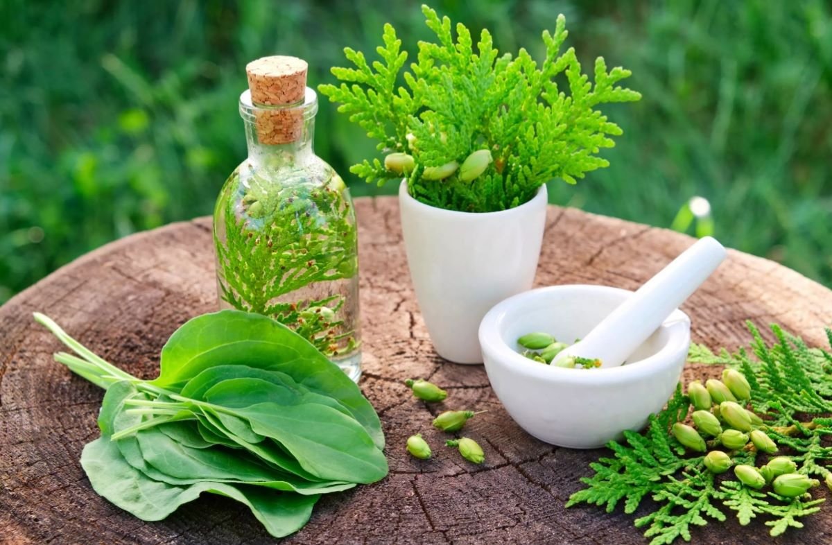 image credit- shutterstock