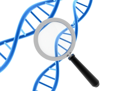 Bina provides a big data platform for management and processing of NGS data