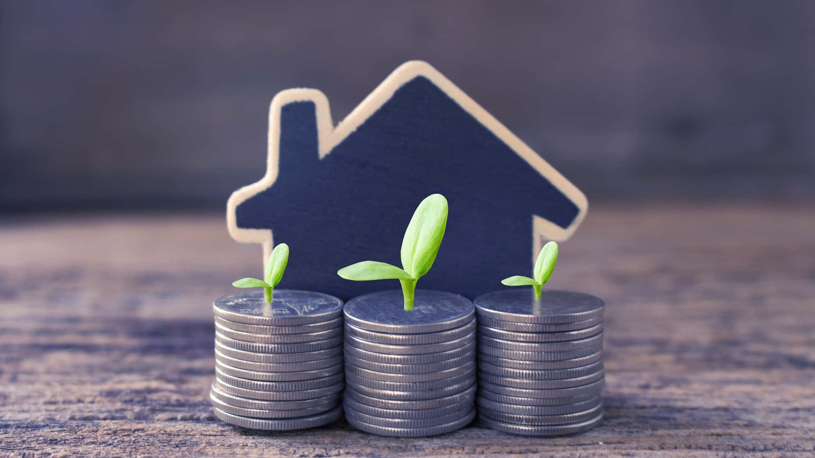 image credit- shutterstock