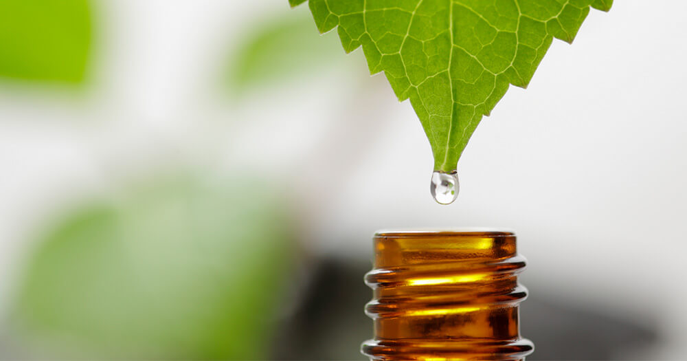 Naturopathy essay writing companies