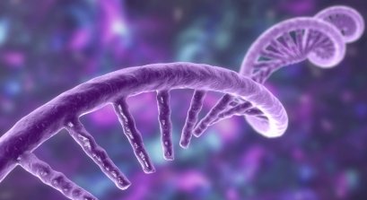 image credit- shutterstock