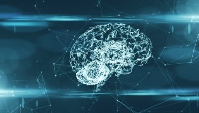 image credit- freepik