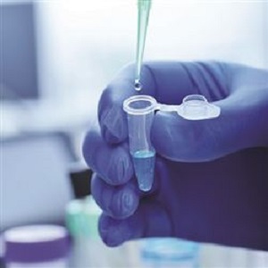 single dose of SJ733 has been shown to kill 80 percent of malaria parasites within 24 hrs